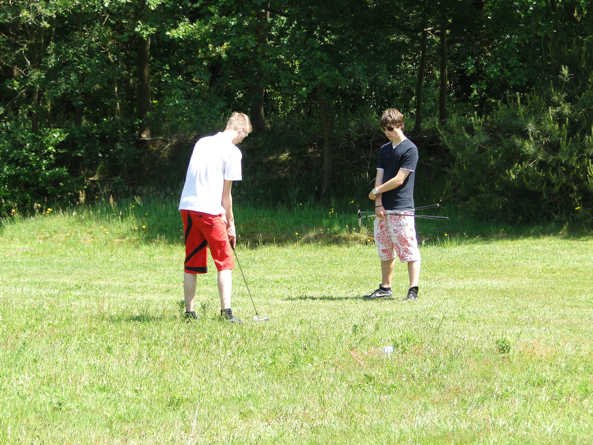 2011HWK 073.jpg